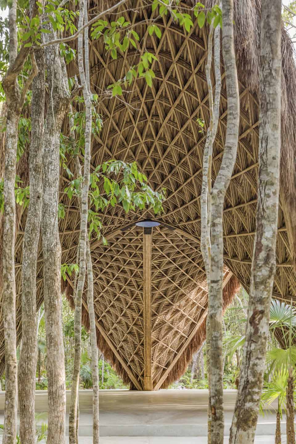 这个隐匿于原始丛林的竹凉亭太美，内定外随，自然宁静！